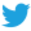 Twitter logo.svg